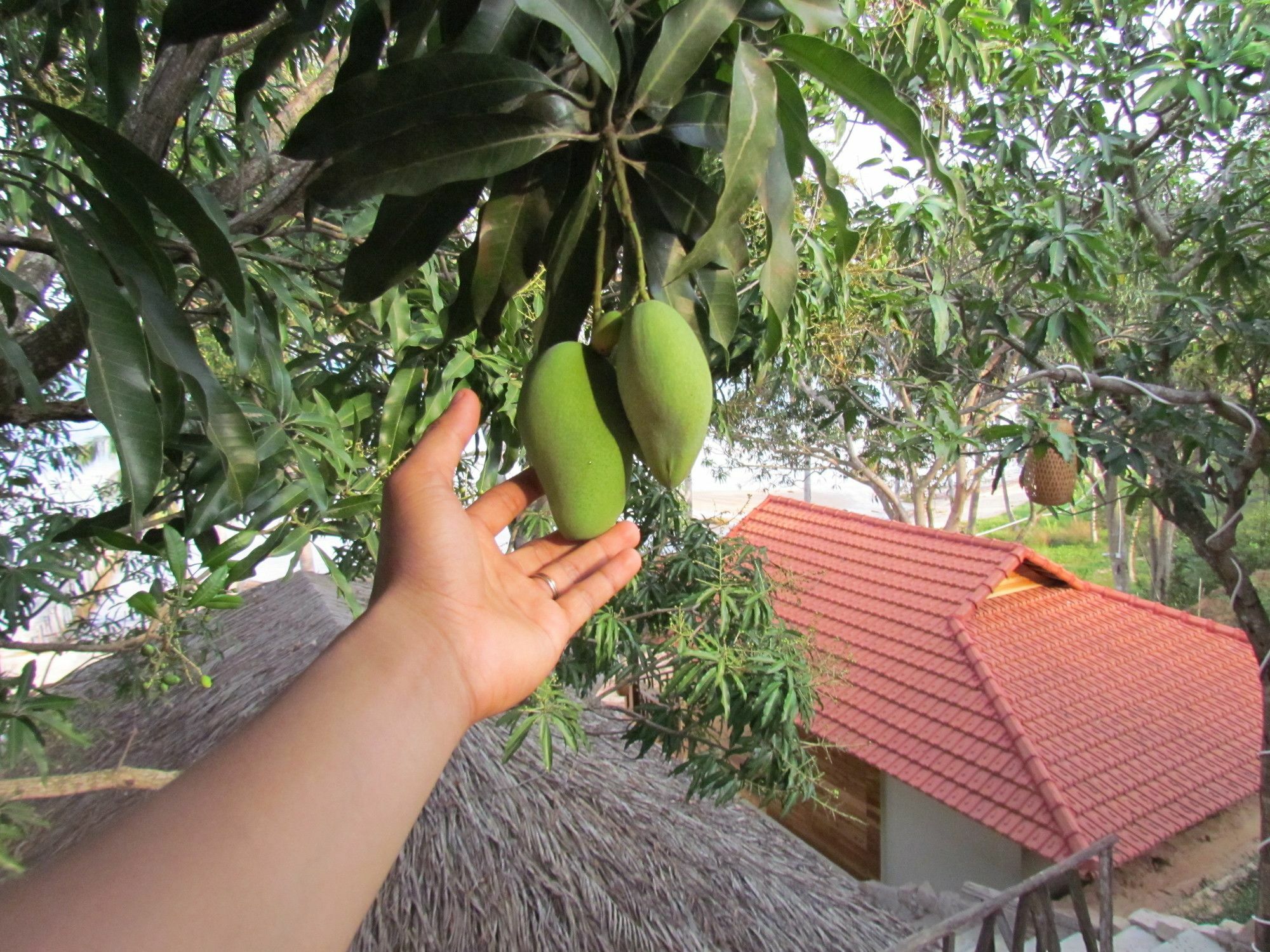 Mango Beach Resort Phu Quoc Dış mekan fotoğraf